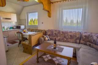 Дома для отпуска Vuković Accommodation Жабляк Дом с 3 спальнями-40